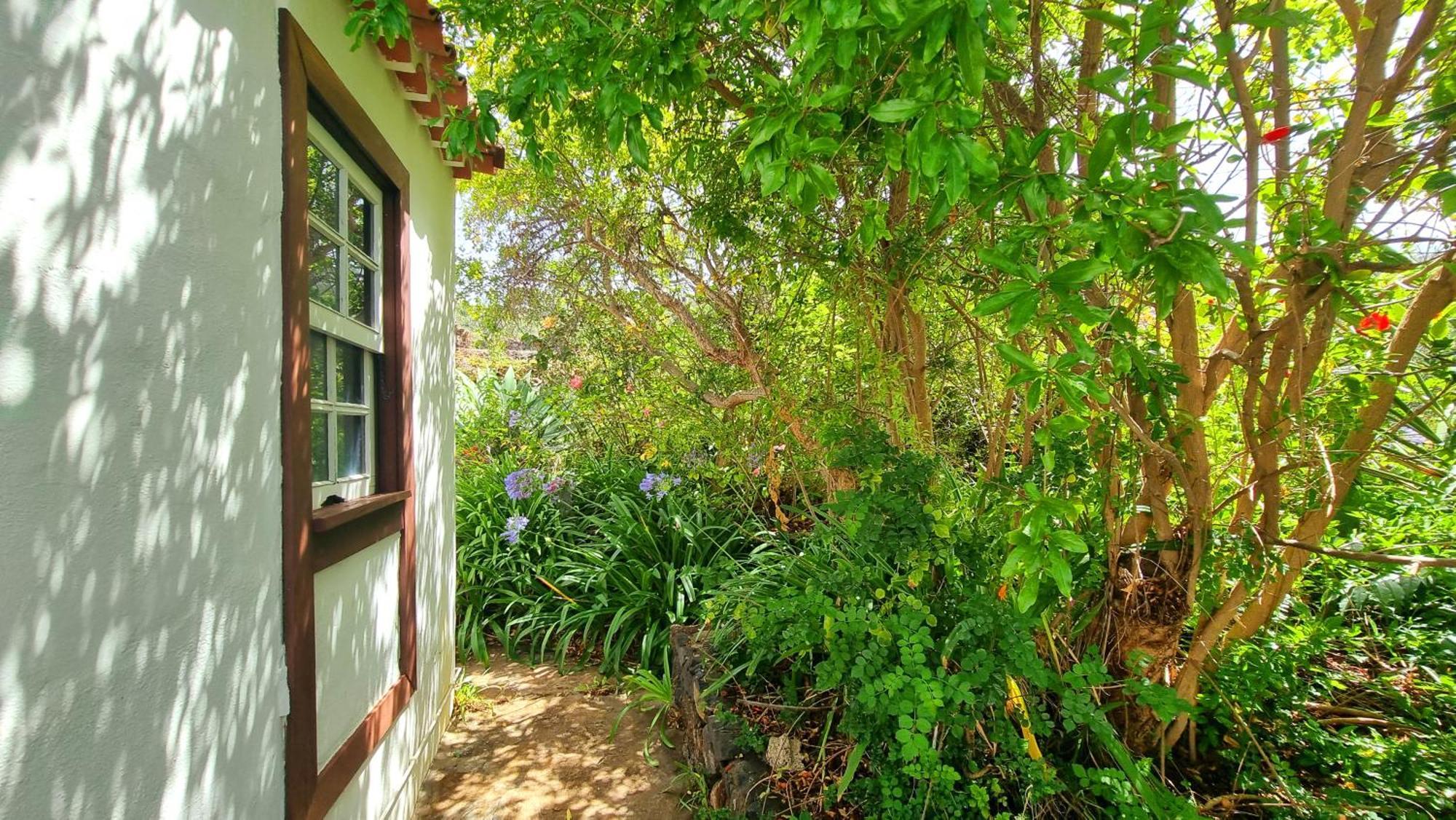 El Jocamo Villa Puntagorda  Exterior photo